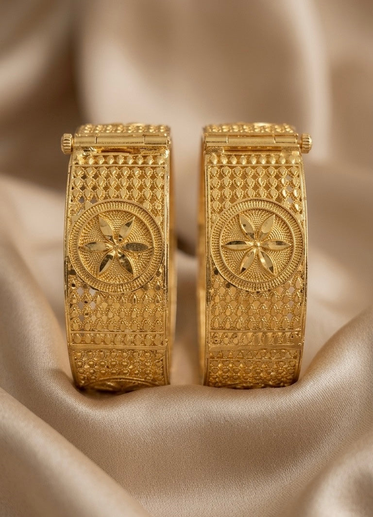 008  BANGLE